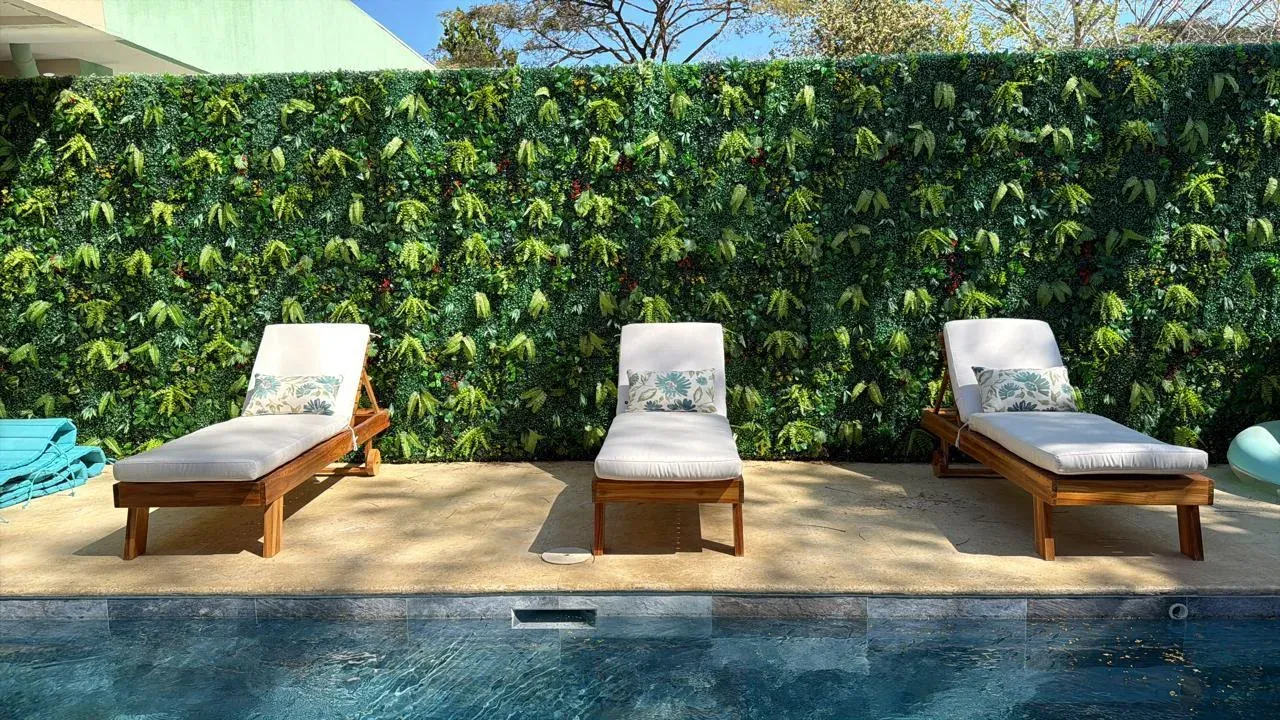 Tres tumbonas de madera natural con cojines blancos alineadas frente a un jardín vertical, junto a una piscina.